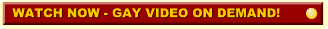 Gay Video On Demand - Click here for more information or to buy